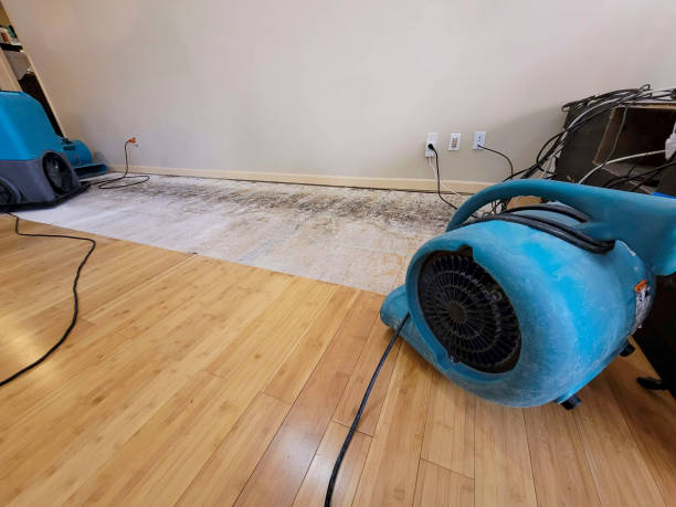 Professional Basement Flood Cleanup technician working in Bogota, NJ